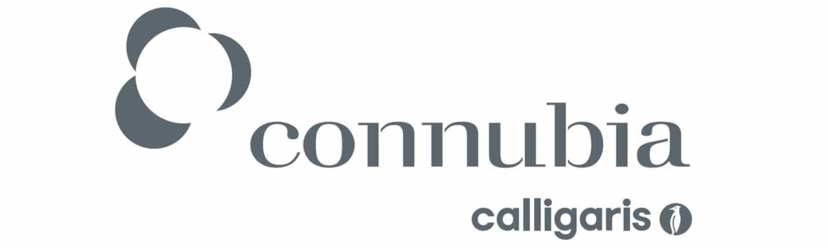 connubia calligaris brand